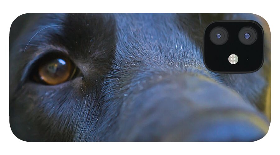 Dog iPhone 12 Case featuring the photograph Pepper by PatriZio M Busnel
