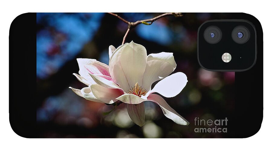 Color Flower iPhone 12 Case featuring the photograph Perfect Bloom Magnolia by Frank J Casella