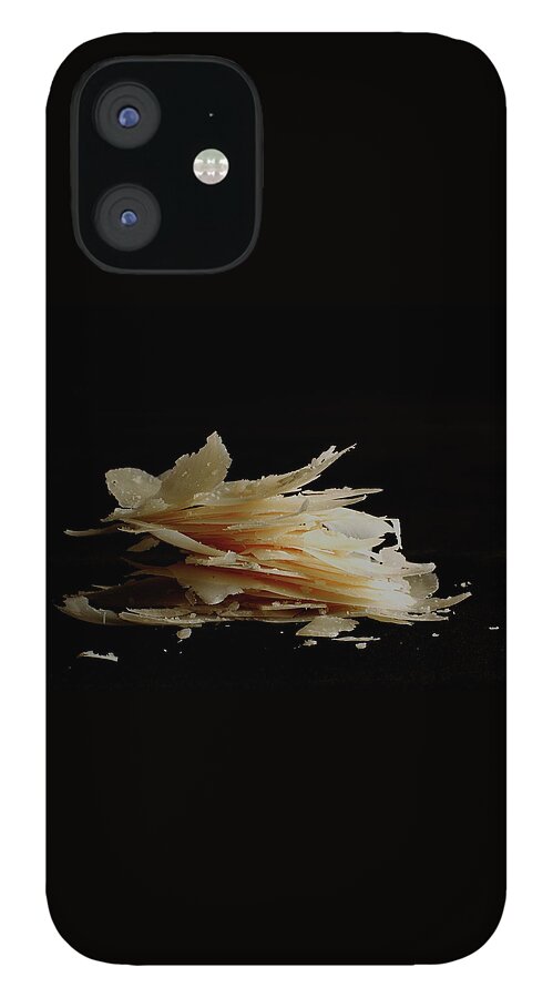 Pieces Of Parmesan Cheese iPhone 12 Case