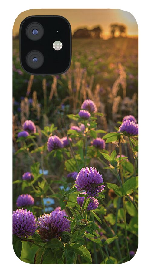 Outdoors iPhone 12 Case featuring the photograph Pink Clover At Sunset by Jason Harris