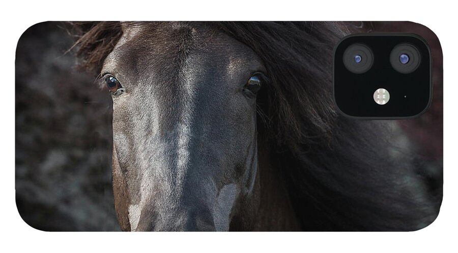 Wind iPhone 12 Case featuring the photograph Portrait Of Icelandic Stallion, Iceland by Arctic-images