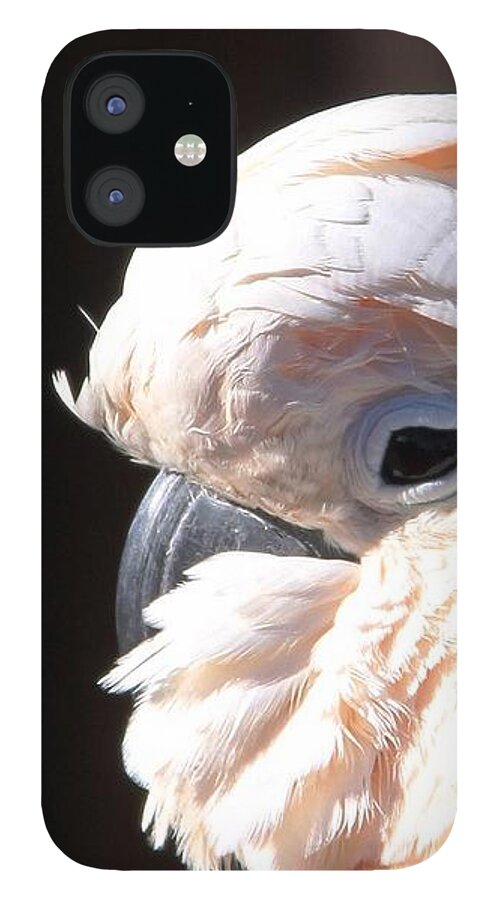 Cockatoo Head Shot iPhone 12 Case featuring the photograph Pretty in Pink Salmon-Crested Cockatoo Portrait by Andrea Lazar