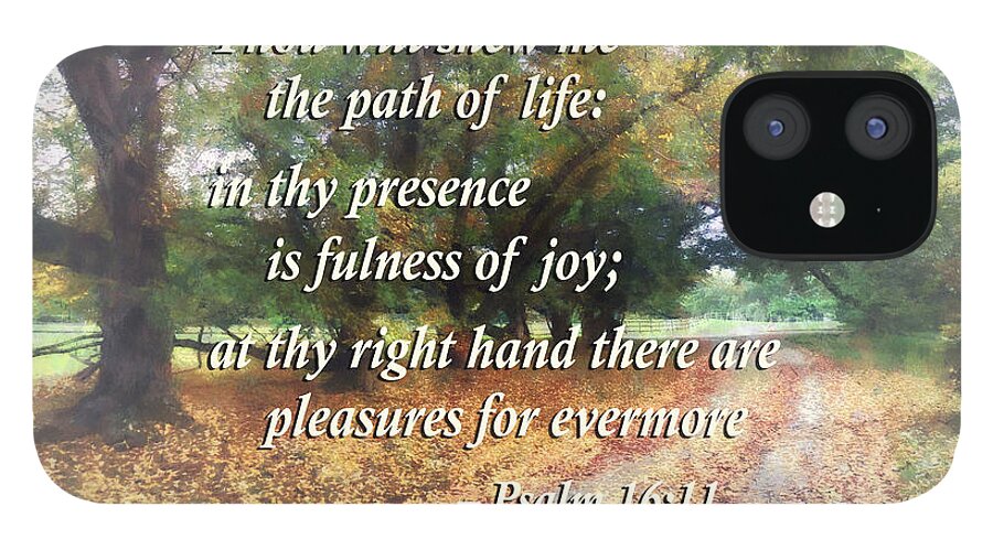 Religious iPhone 12 Case featuring the photograph Psalm 16 11 Thou wilt shew me the path of life by Susan Savad