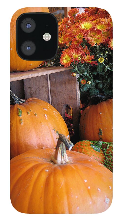 Harvest iPhone 12 Case featuring the photograph Pumpkins by Gerry Bates