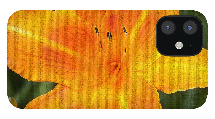 Daylily iPhone 12 Case featuring the photograph Queen For The Day by Terri Harper