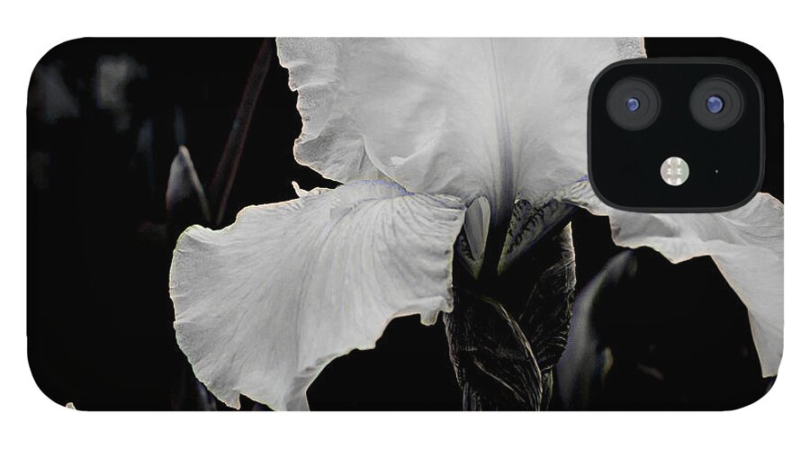 Iris iPhone 12 Case featuring the photograph Queen of the Garden by Kathi Shotwell