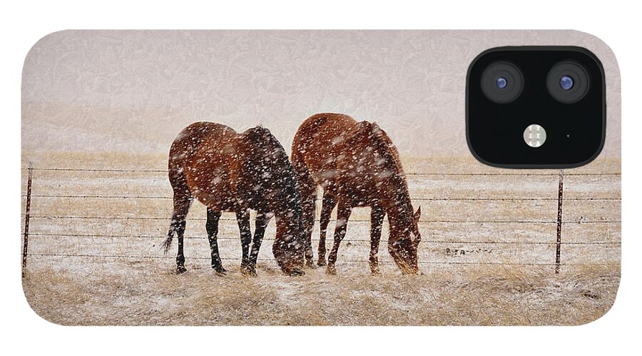 Brown Horses iPhone 12 Case featuring the photograph Ranch Horses in Snow by Kae Cheatham