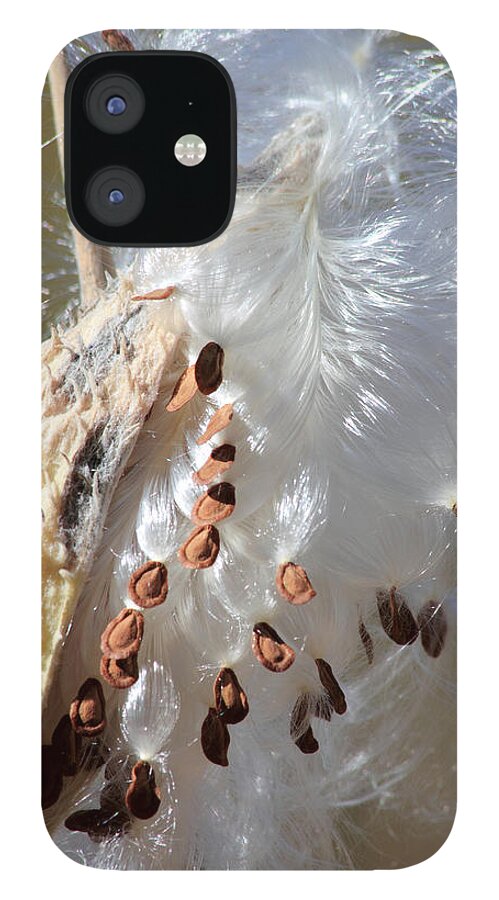 Milkweed iPhone 12 Case featuring the photograph Ready To Fly by Shane Bechler