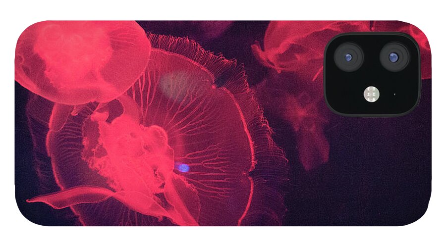 Underwater iPhone 12 Case featuring the photograph Red Lit Jellyfish by This Image Is Available To You Through Getty Images