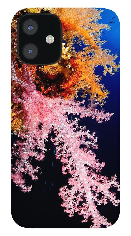 Underwater iPhone 12 Case featuring the photograph Red Sea Coral by Iñigo Gutierrez Photo