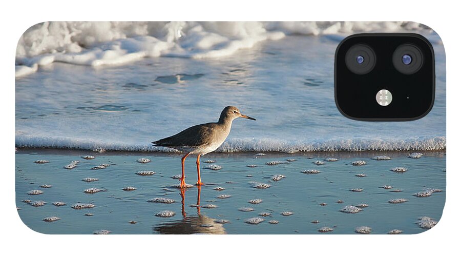 Tide iPhone 12 Case featuring the photograph Redshank Tringa Totanus by John Short / Design Pics