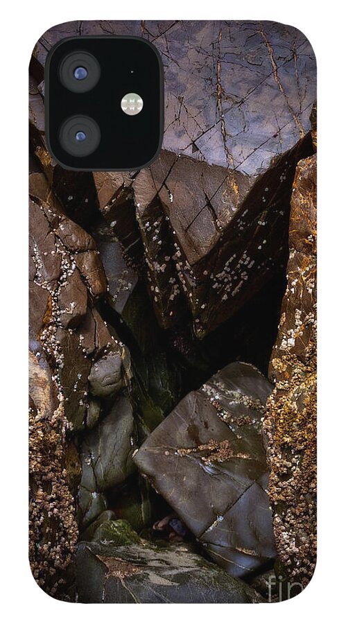 Barnacles iPhone 12 Case featuring the photograph Remarkable Rocks by Venetta Archer