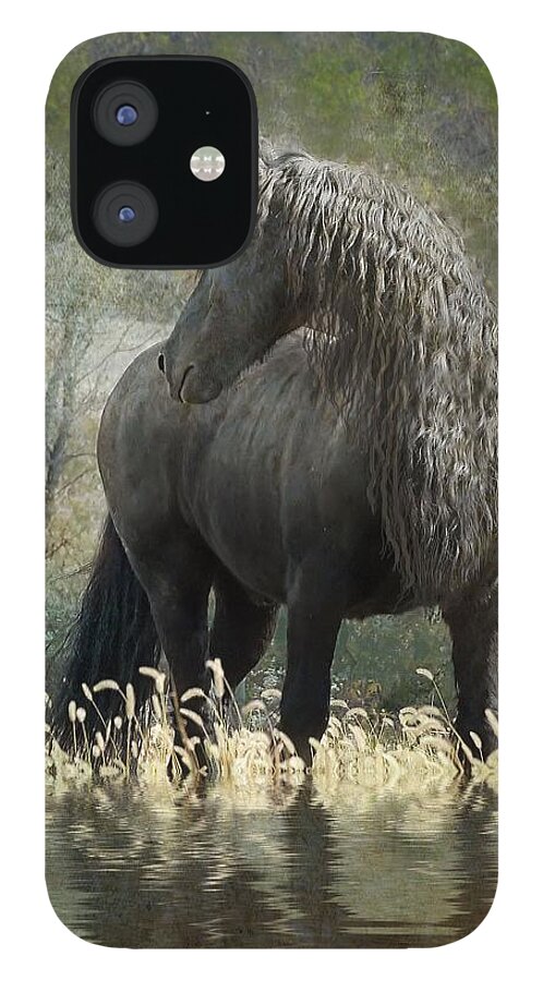 Friesian Horses iPhone 12 Case featuring the photograph Remme and the Crow by Fran J Scott