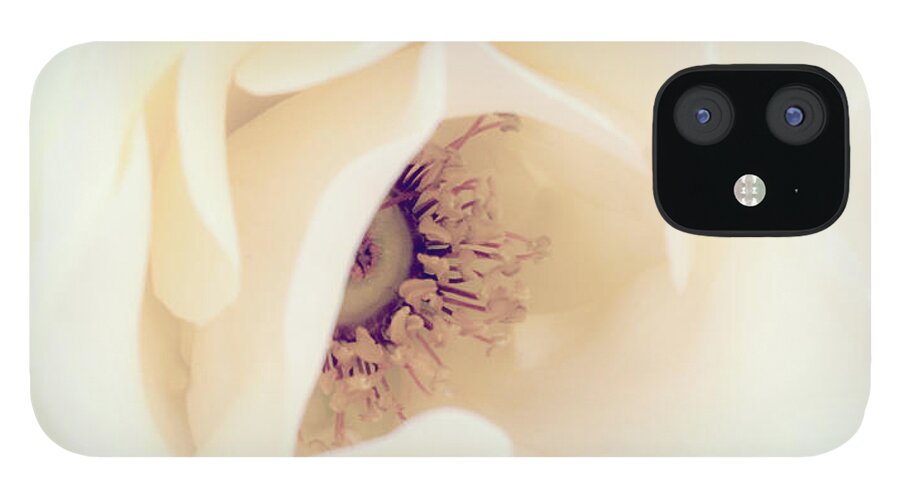Love iPhone 12 Case featuring the photograph Romance in a Rose by Spikey Mouse Photography