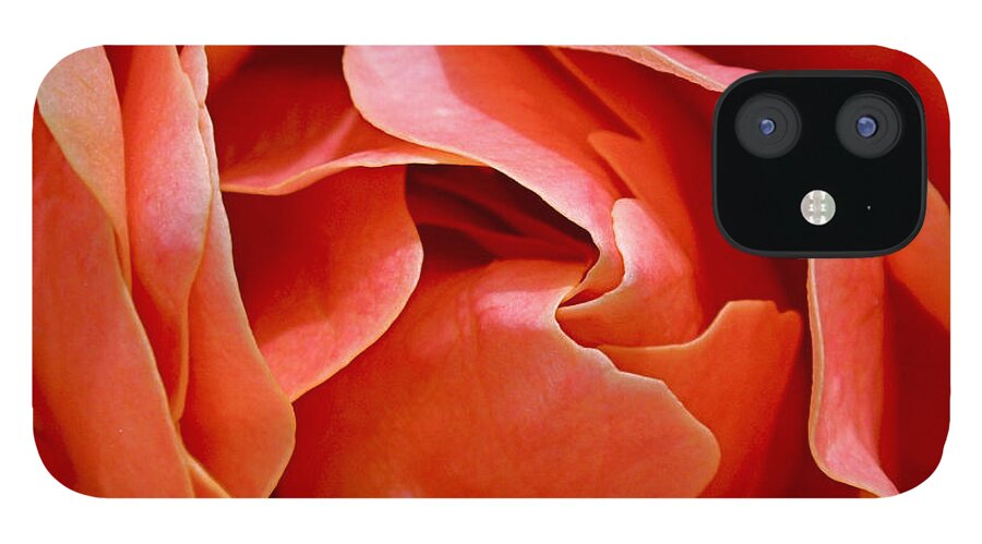 Rose iPhone 12 Case featuring the photograph Rose Abstract by Rona Black