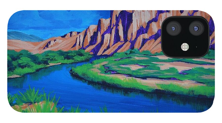 Blue iPhone 12 Case featuring the painting Salt River by Cheryl Fecht