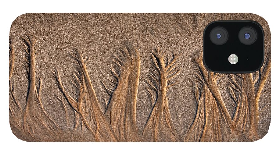 Sand iPhone 12 Case featuring the photograph Sand Forest by Alice Cahill