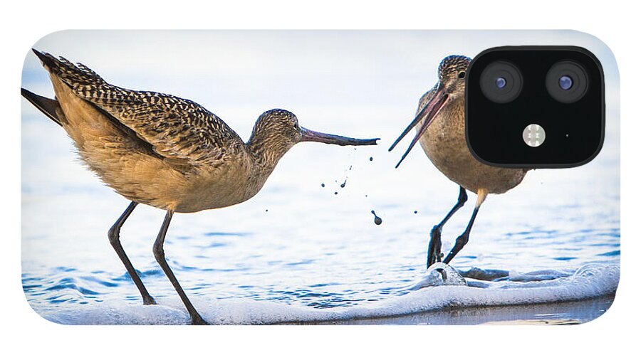 America iPhone 12 Case featuring the photograph Sanderlings Playing at the Beach by John Wadleigh