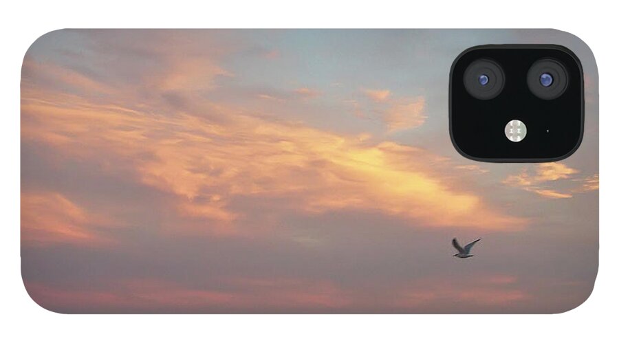 Tranquility iPhone 12 Case featuring the photograph Seagull In Flight At Sunset by Joseph Shields