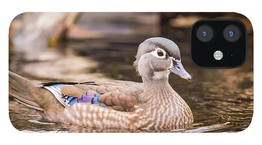 Woodduck iPhone 12 Case featuring the photograph Secluded - Wood Duck by Nikki Vig