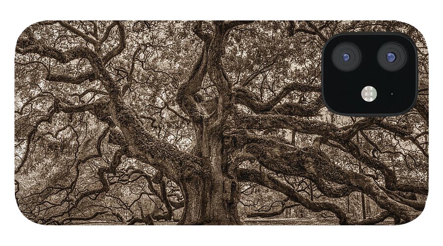 Angel Oak Tree iPhone 12 Case featuring the photograph Sepia Angel Oak by Dale Powell