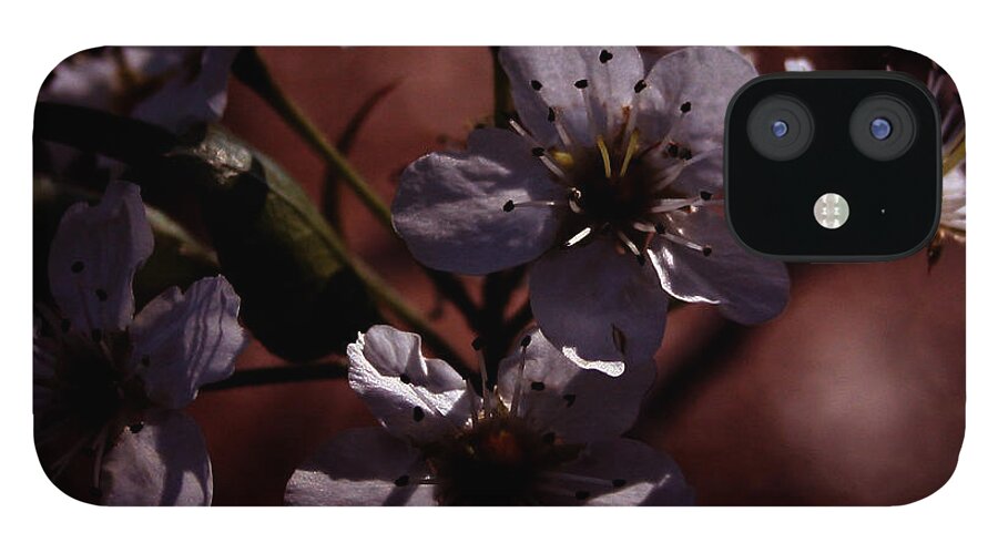Flower iPhone 12 Case featuring the photograph Shadowed Flowers by Karen Harrison Brown