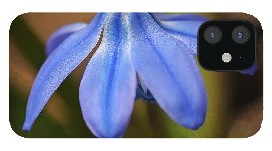 Flower iPhone 12 Case featuring the photograph Siberian Squill by Liz Mackney