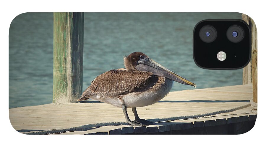 Pelican iPhone 12 Case featuring the photograph Sitting on the Dock of the Bay by Kim Hojnacki