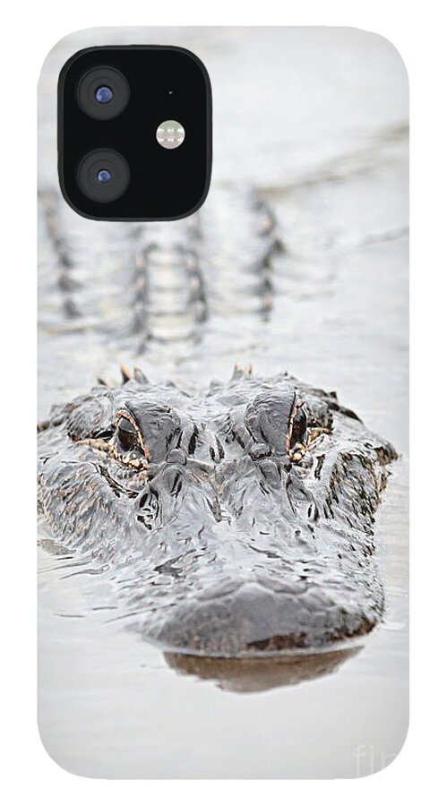 Alligator iPhone 12 Case featuring the photograph Sneaky Swamp Gator by Carol Groenen