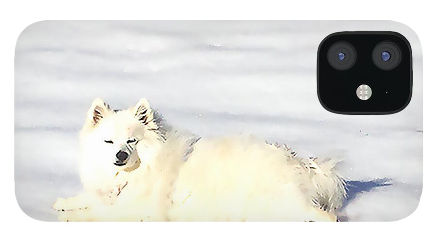 Digital Photography iPhone 12 Case featuring the photograph Snow Baby by Linda N La Rose