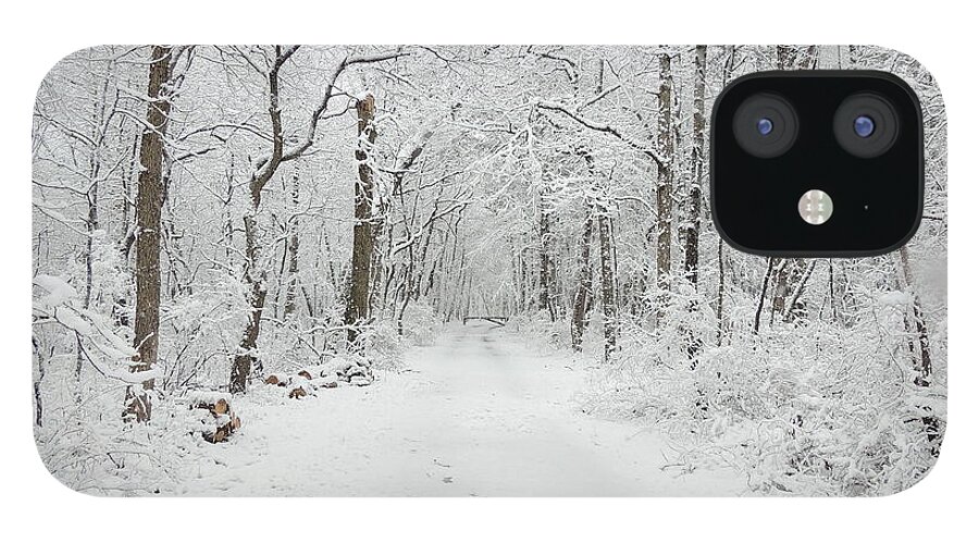 Snow In The Park iPhone 12 Case featuring the photograph Snow in the Park by Raymond Salani III
