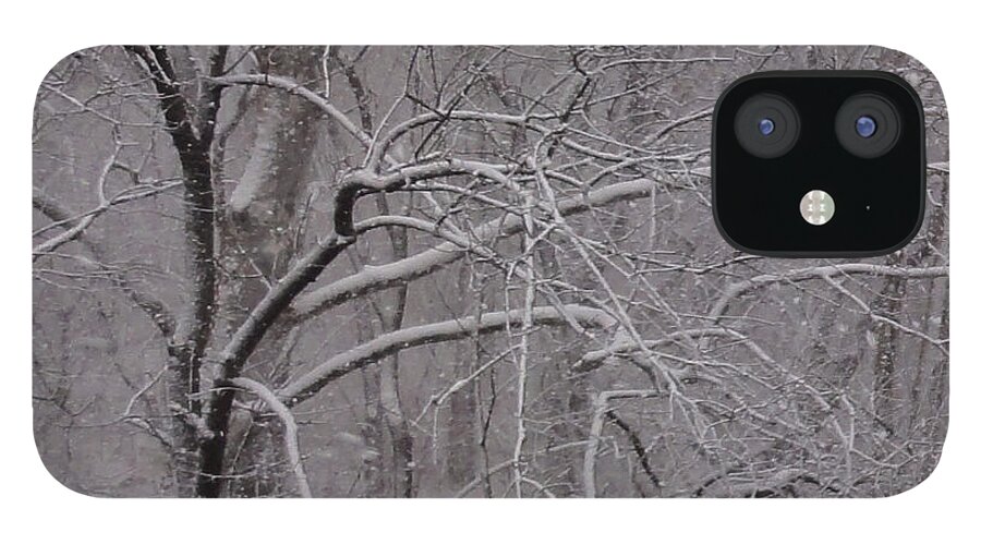 Bridge iPhone 12 Case featuring the photograph Snow in the Trees at Bulls Island by Christopher Plummer