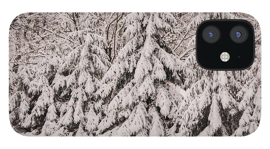 Snow iPhone 12 Case featuring the photograph Snowy Fir Trees by Jane Axman