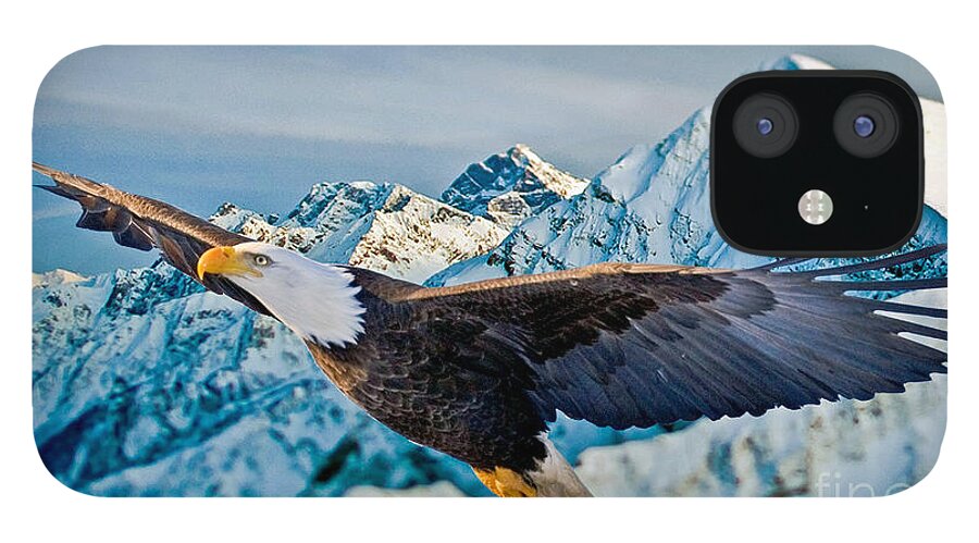 Eagle iPhone 12 Case featuring the photograph Soaring Bald Eagle by Gary Keesler