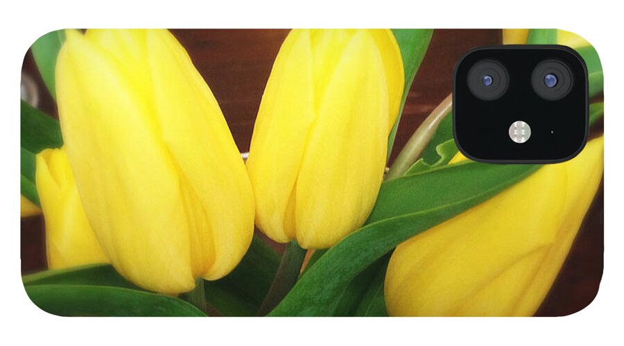 Tulips iPhone 12 Case featuring the photograph Soft yellow tulips by Matthias Hauser
