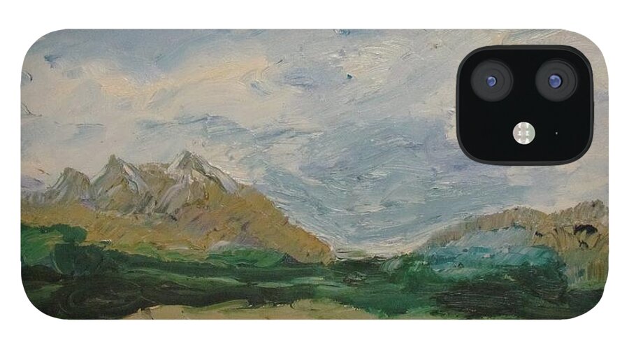 Mountains iPhone 12 Case featuring the painting Somewhere in Denali by Shea Holliman