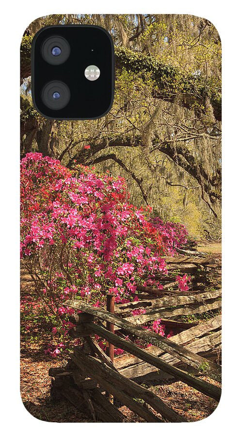 Azalea iPhone 12 Case featuring the photograph Spring Beauty by Patricia Schaefer