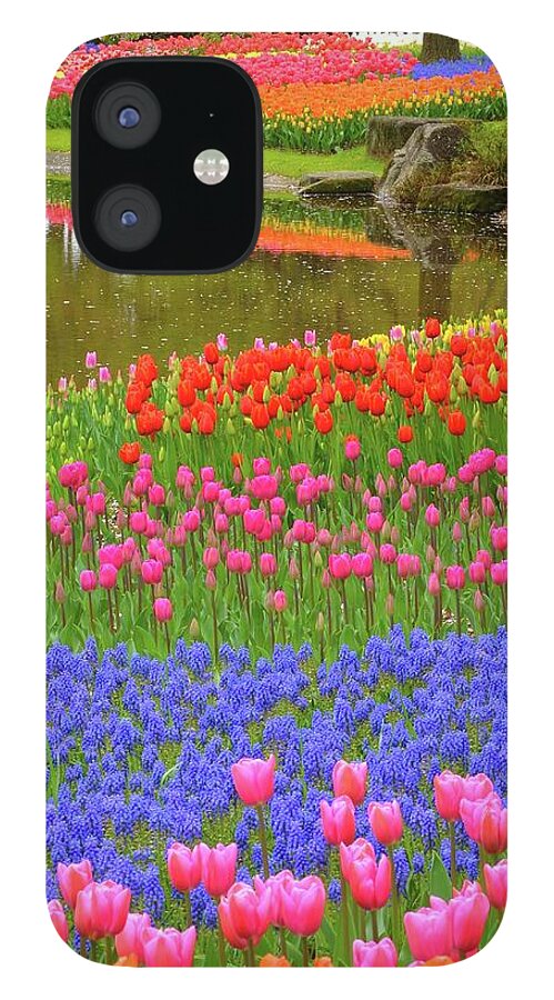 Flowerbed iPhone 12 Case featuring the photograph Spring Color by M.arai