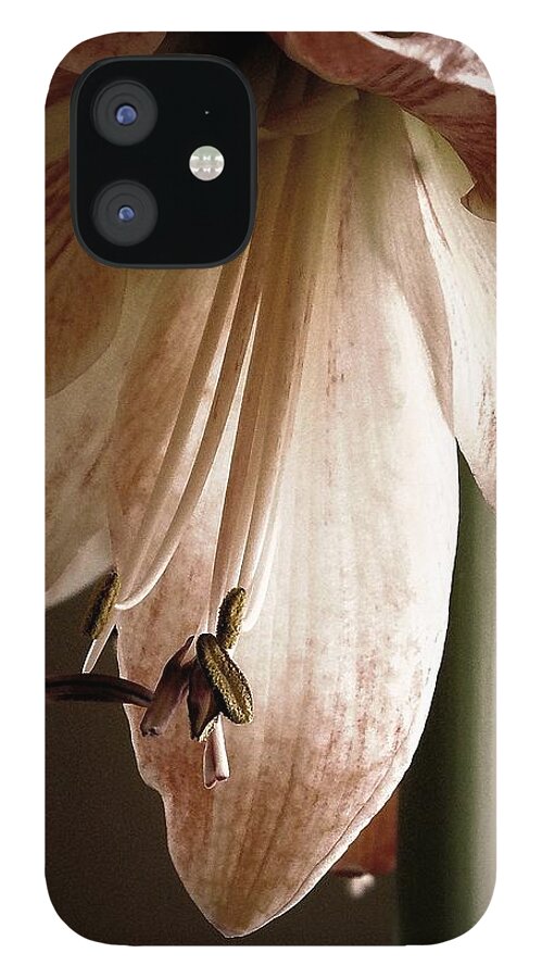 Amaryllis iPhone 12 Case featuring the digital art Stamen by Tg Devore