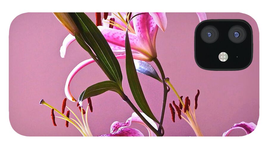 Stargazer Lilies iPhone 12 Case featuring the photograph Stargazer Lilies square frame by Byron Varvarigos