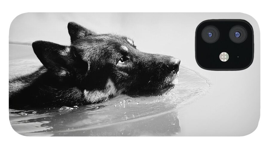 German Shepard iPhone 12 Case featuring the photograph Summer Swim by Melanie Lankford Photography