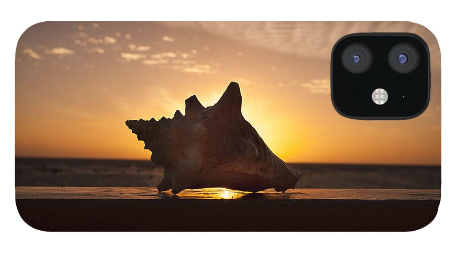 Sunrise Conch iPhone 12 Case featuring the photograph Sunrise Conch by Jean Noren