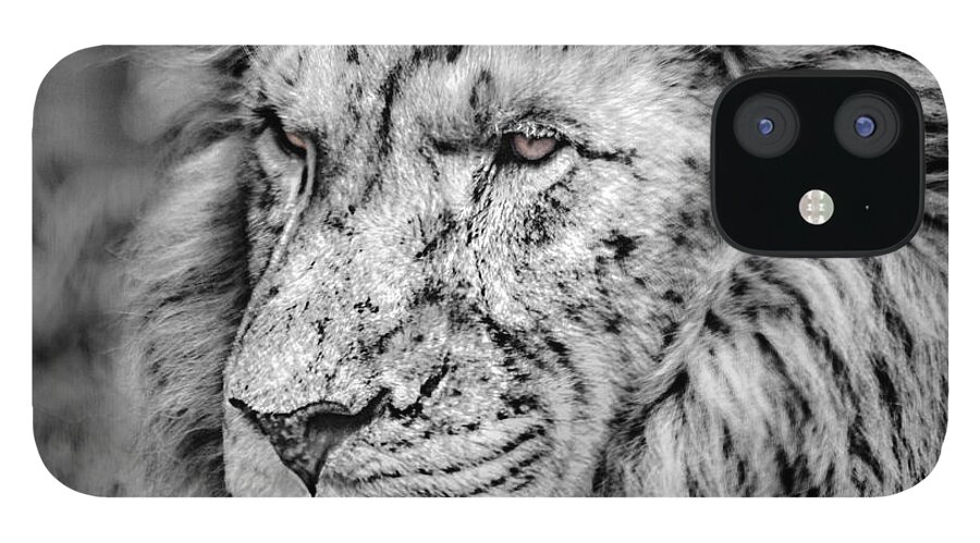 Lion iPhone 12 Case featuring the photograph Surreal Lion by James Woody