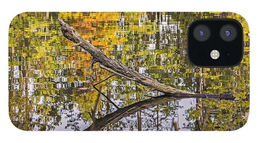 Nature iPhone 12 Case featuring the photograph Swamp Pond Log Reflection by Michael Whitaker