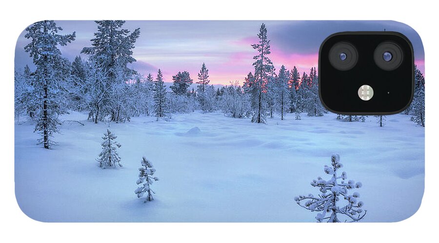 Tranquility iPhone 12 Case featuring the photograph Taiga Forest, Arctic Finland by Simon J Byrne