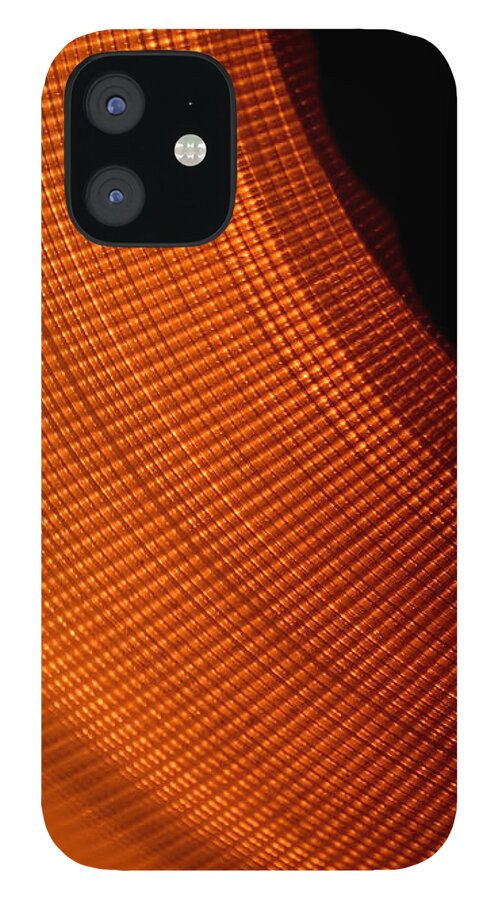 Abstract iPhone 12 Case featuring the photograph Take Two by Lena Wilhite