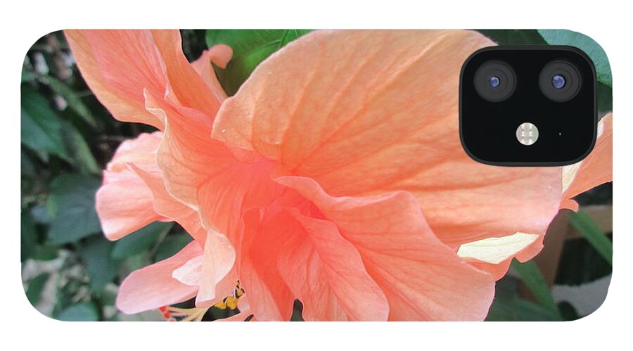 Hibiscus iPhone 12 Case featuring the photograph Taking Flight by Ashley Goforth