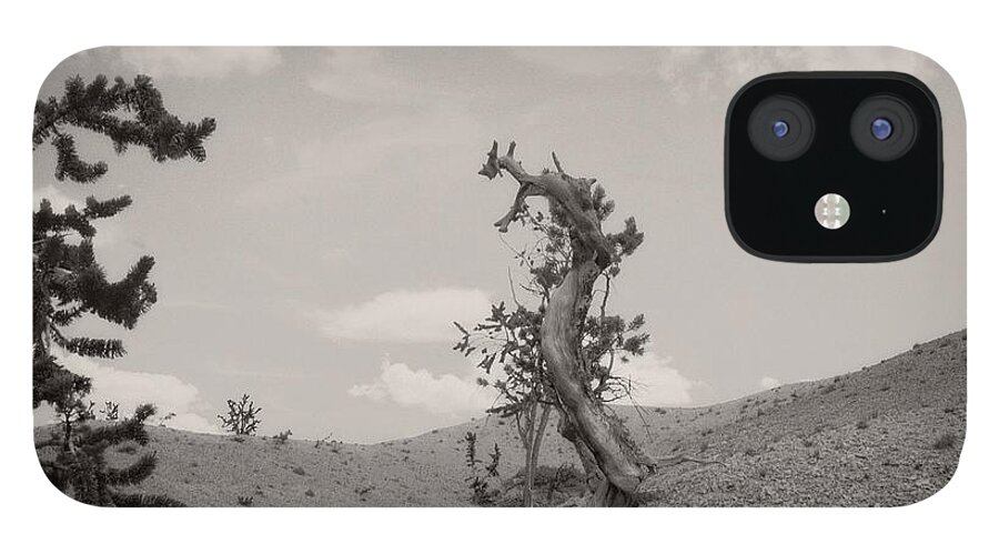 Utah iPhone 12 Case featuring the photograph Talking Trees in Bryce Canyon by Carol Whaley Addassi