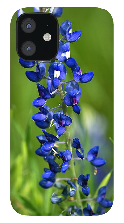 Texas iPhone 12 Case featuring the photograph Texas Bluebonnet by Gary Langley