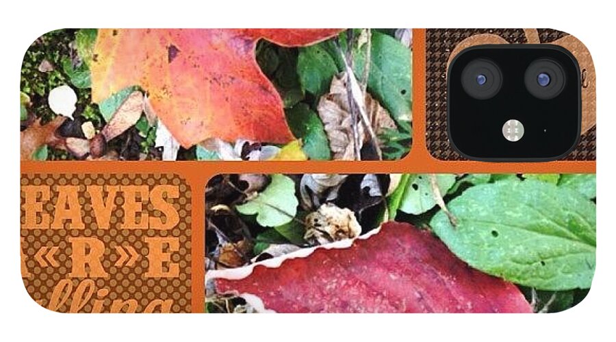 Enjoy iPhone 12 Case featuring the photograph The Leaves Have Been Falling For A by Teresa Mucha